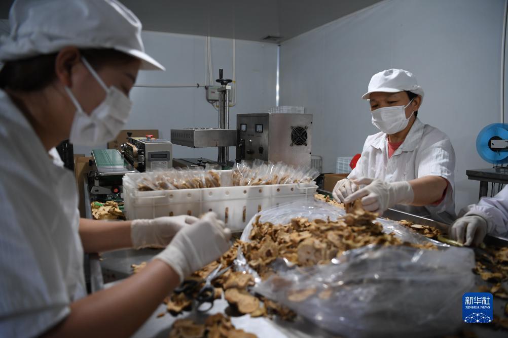 澳门十三第官网